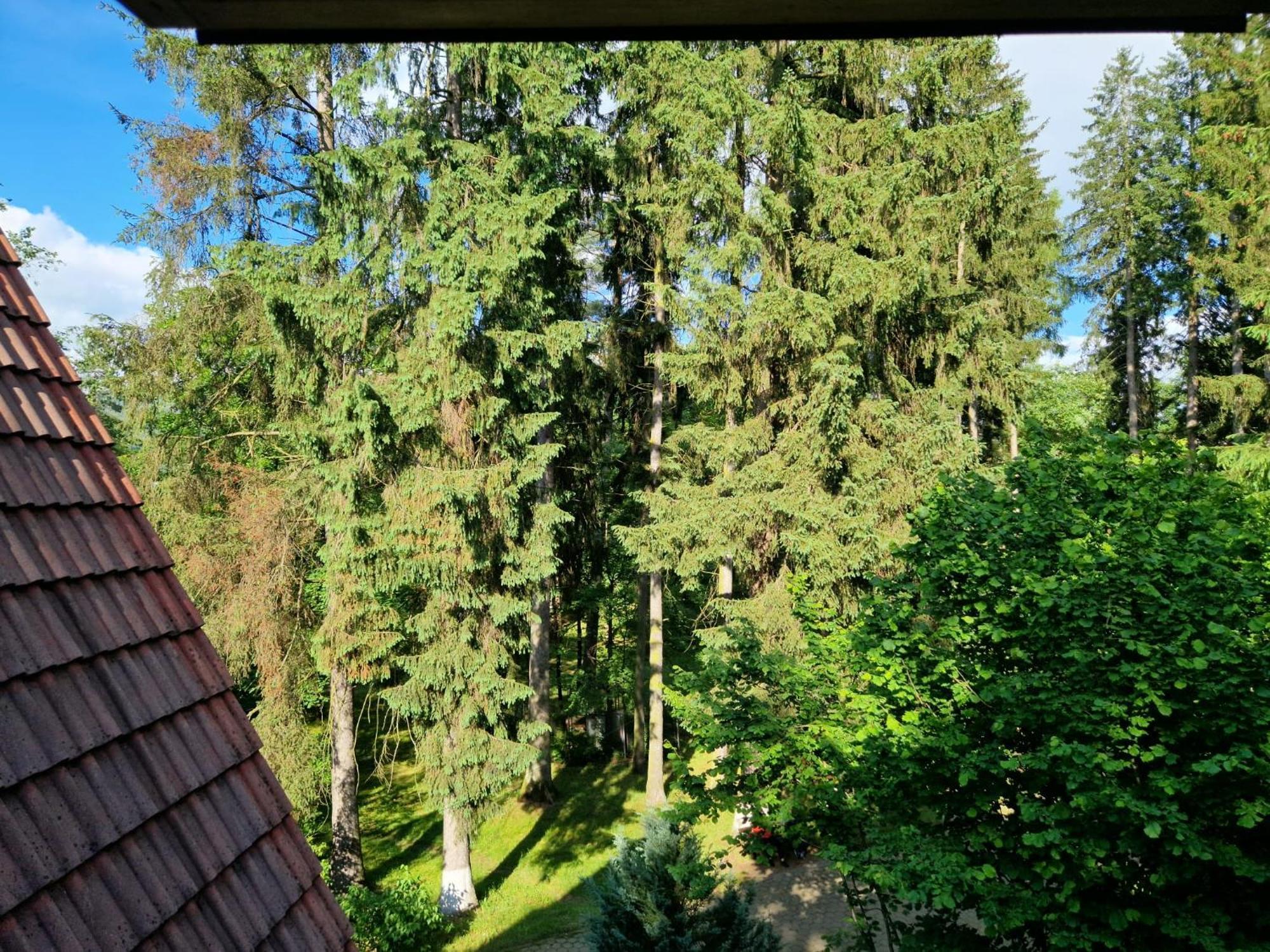 Pensiunea Happy Inn Vatra Dornei Bagian luar foto